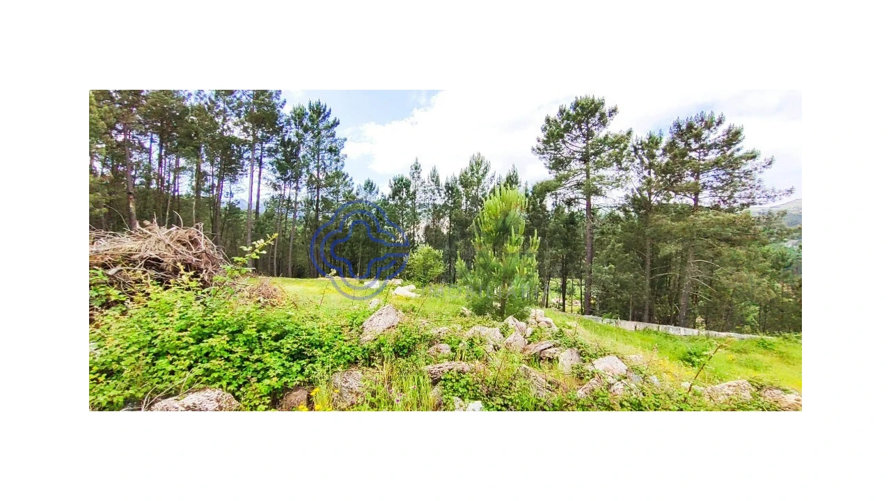 Terreno para Venda em Gondomil e Sanfins Foto 5