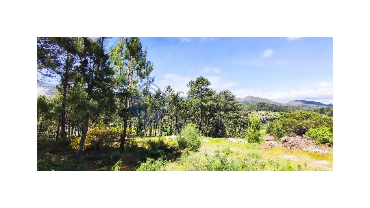 Terreno para Venda em Gondomil e Sanfins Foto 1