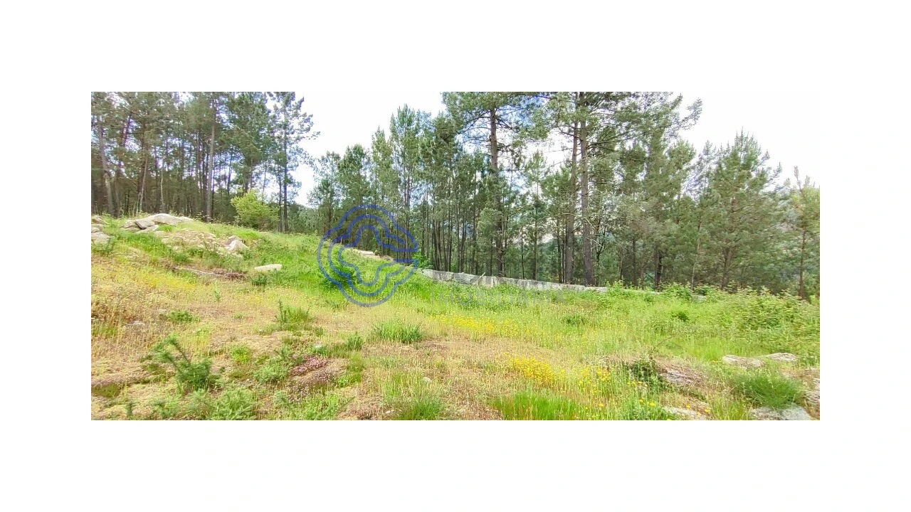 Terreno para Venda em Gondomil e Sanfins Foto 39