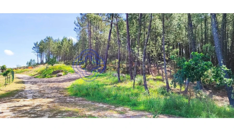 Terreno para Venda em Gondomil e Sanfins Foto 38