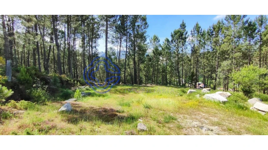 Terreno para Venda em Gondomil e Sanfins Foto 27