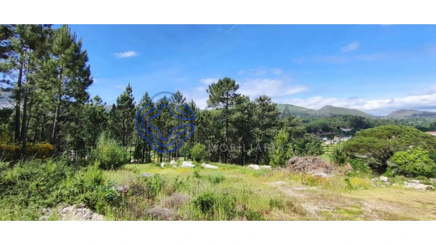 Terreno para Venda em Gondomil e Sanfins Foto 41