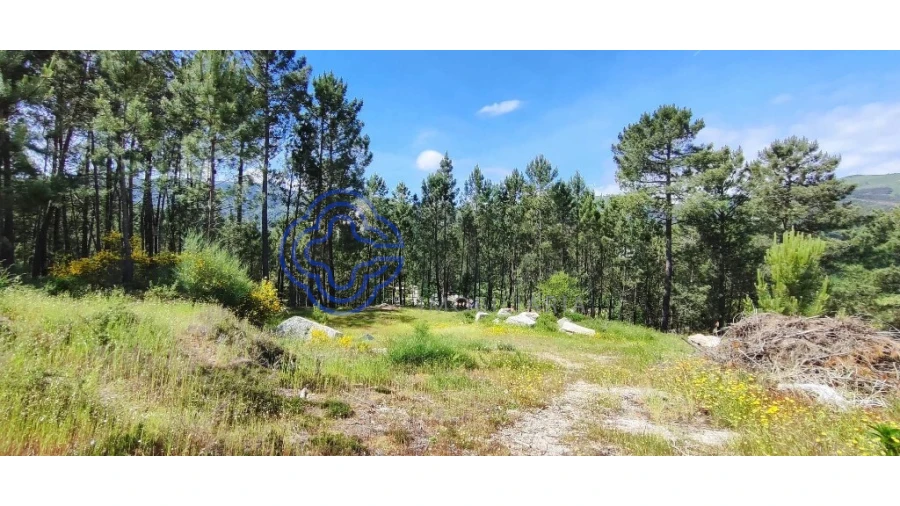 Terreno para Venda em Gondomil e Sanfins Foto 26