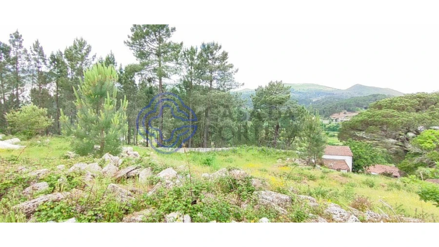 Terreno para Venda em Gondomil e Sanfins Foto 36