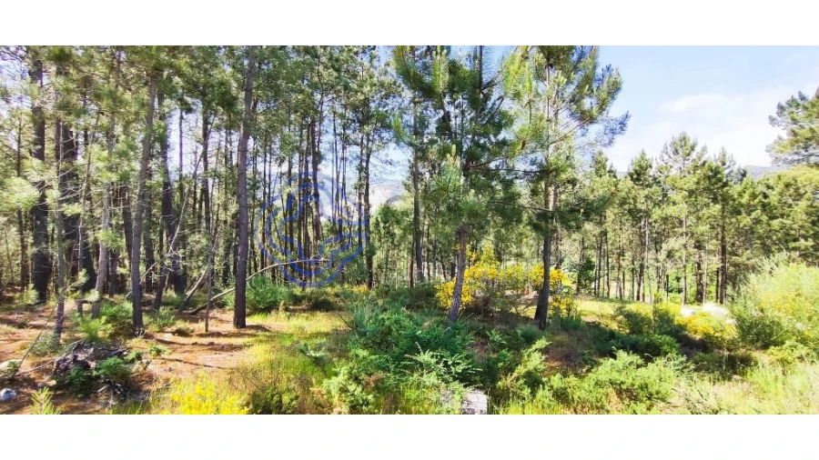 Terreno para Venda em Gondomil e Sanfins Foto 32