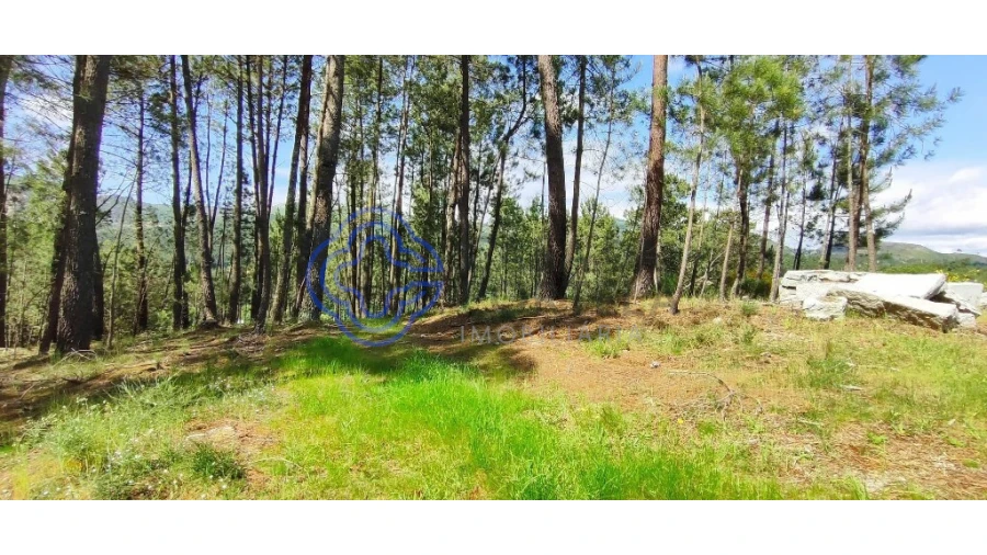 Terreno para Venda em Gondomil e Sanfins Foto 25