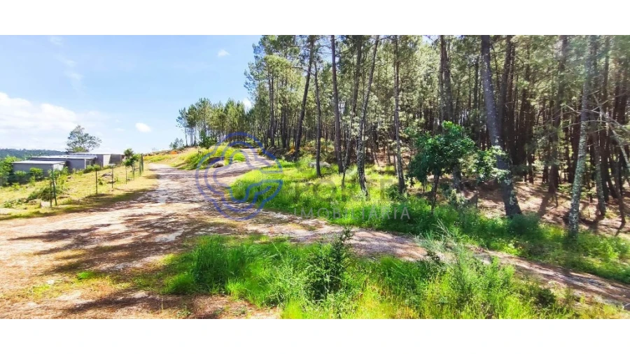 Terreno para Venda em Gondomil e Sanfins Foto 21