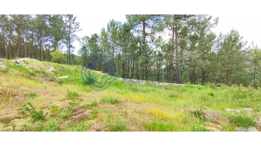 Terreno para Venda em Gondomil e Sanfins Foto 39