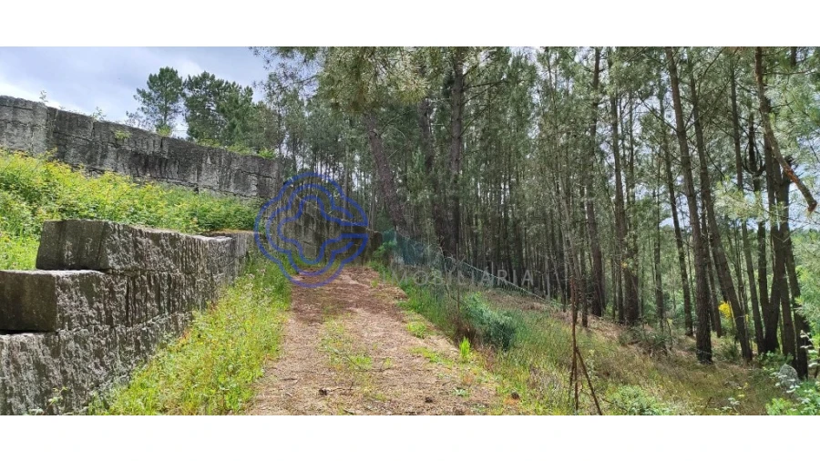 Terreno para Venda em Gondomil e Sanfins Foto 16