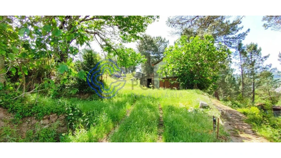 Terreno para Venda em Gondomil e Sanfins Foto 19