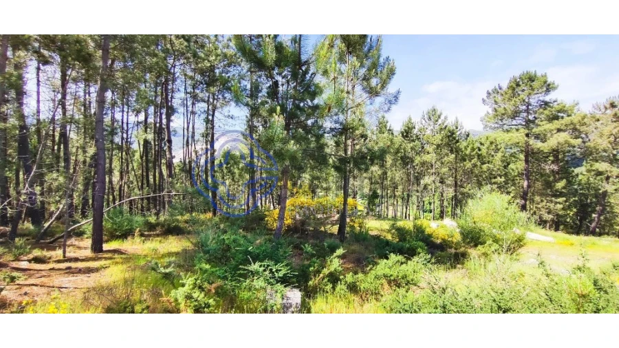 Terreno para Venda em Gondomil e Sanfins Foto 33