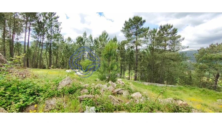 Terreno para Venda em Gondomil e Sanfins Foto 40