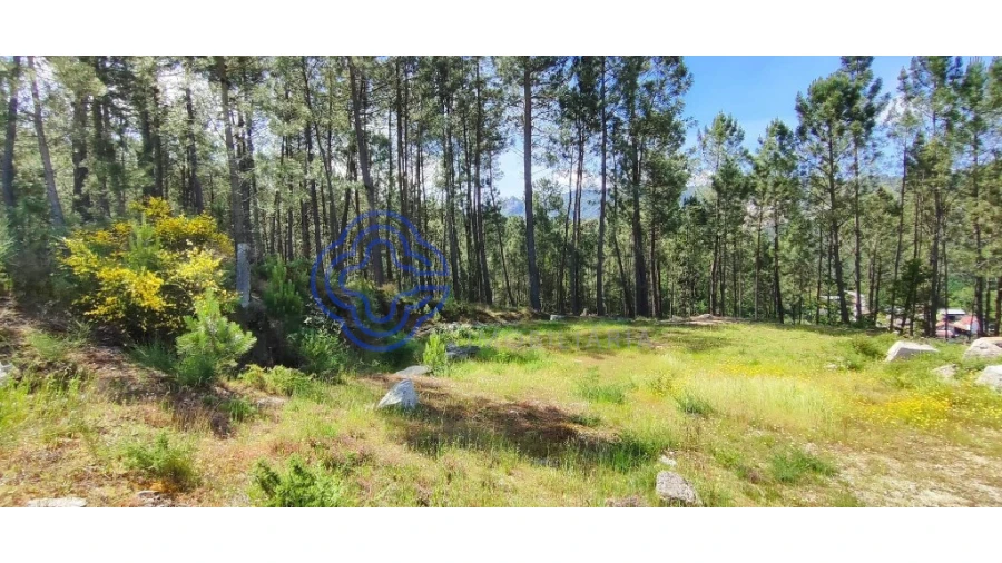 Terreno para Venda em Gondomil e Sanfins Foto 18