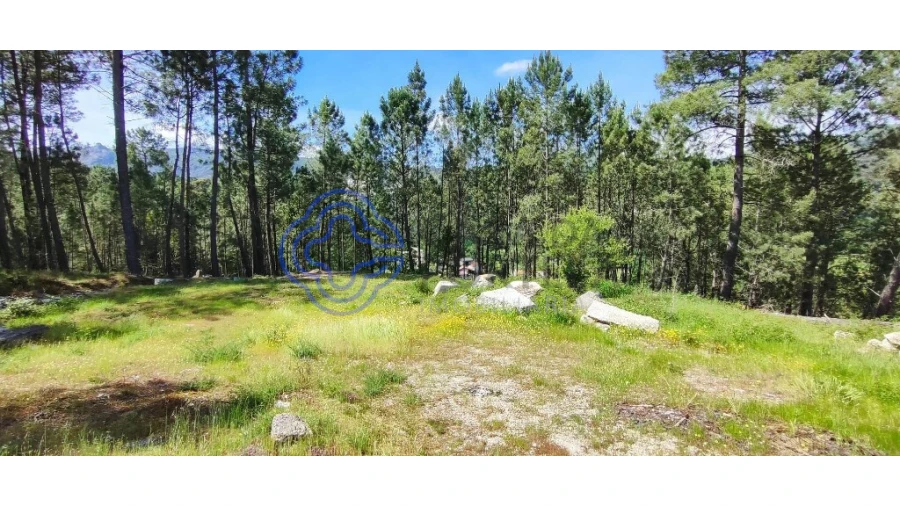 Terreno para Venda em Gondomil e Sanfins Foto 2