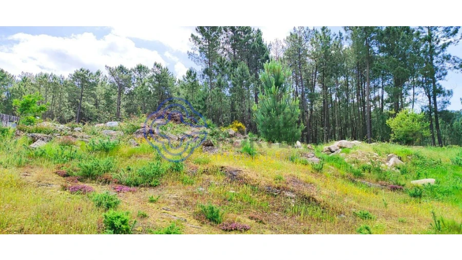 Terreno para Venda em Gondomil e Sanfins Foto 6