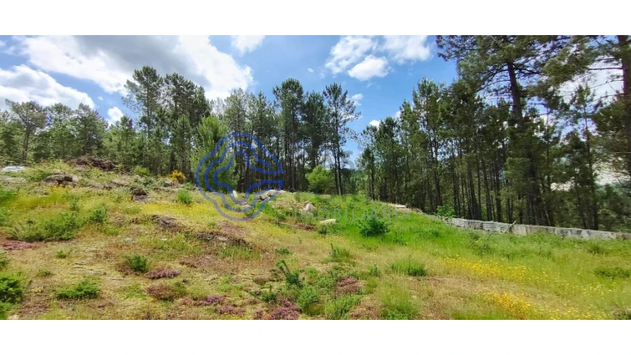 Terreno para Venda em Gondomil e Sanfins Foto 4