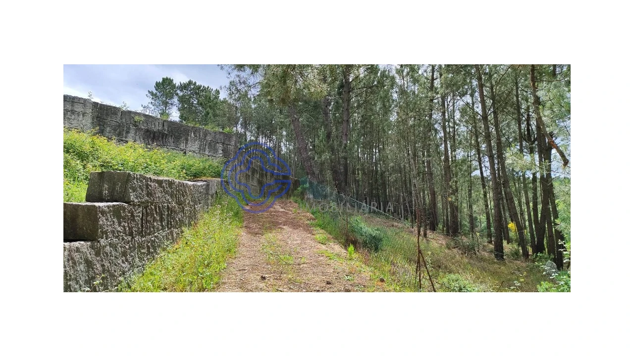 Terreno para Venda em Gondomil e Sanfins Foto 16