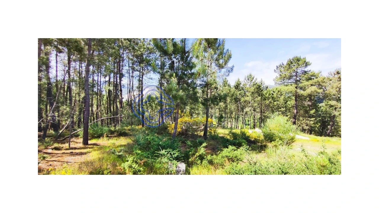 Terreno para Venda em Gondomil e Sanfins Foto 33