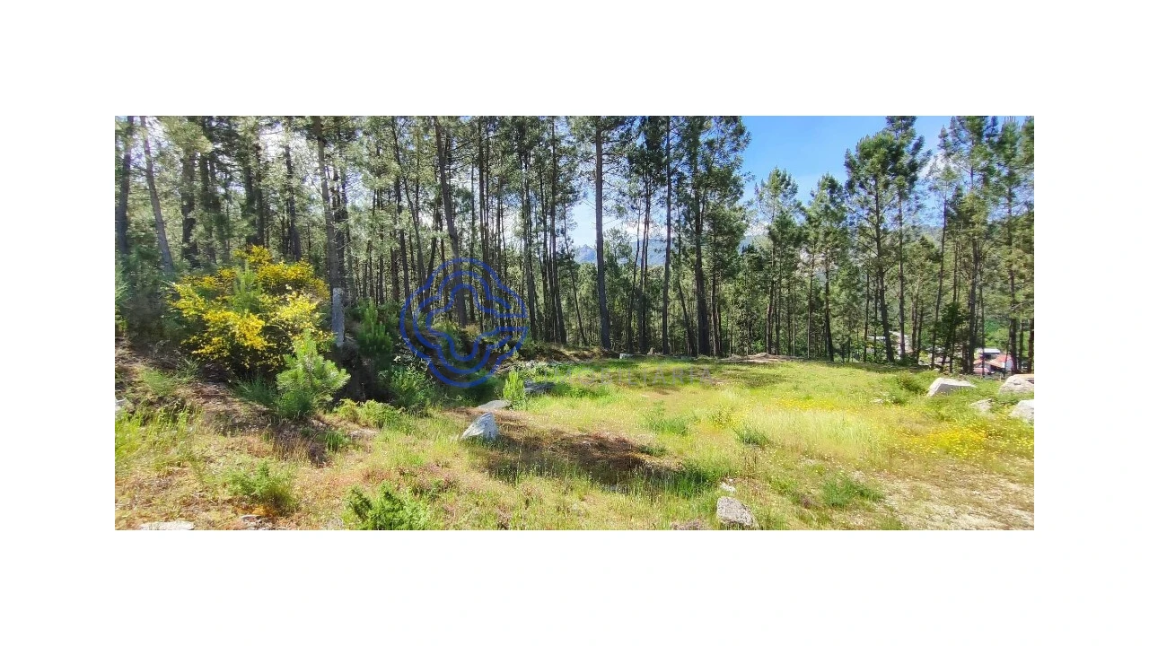 Terreno para Venda em Gondomil e Sanfins Foto 18