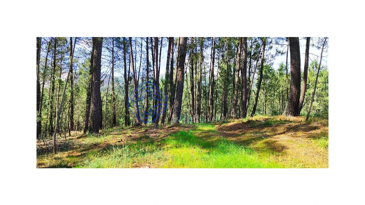 Terreno para Venda em Gondomil e Sanfins Foto 14