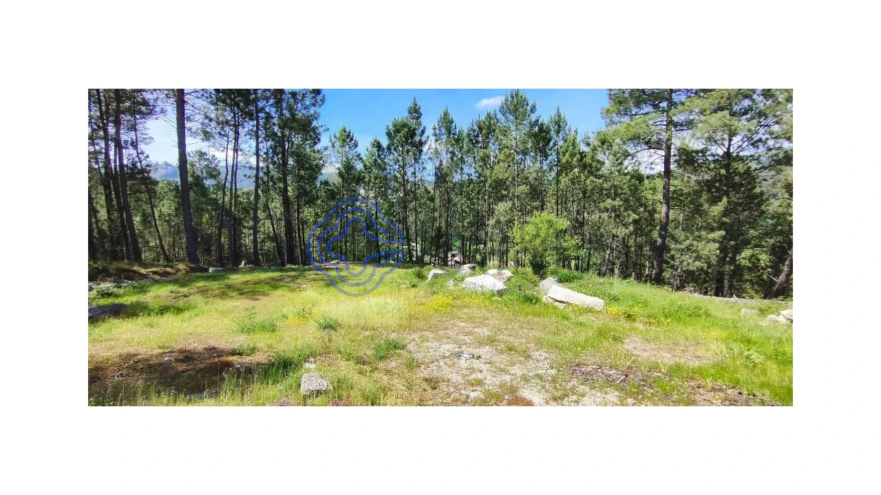 Terreno para Venda em Gondomil e Sanfins Foto 2