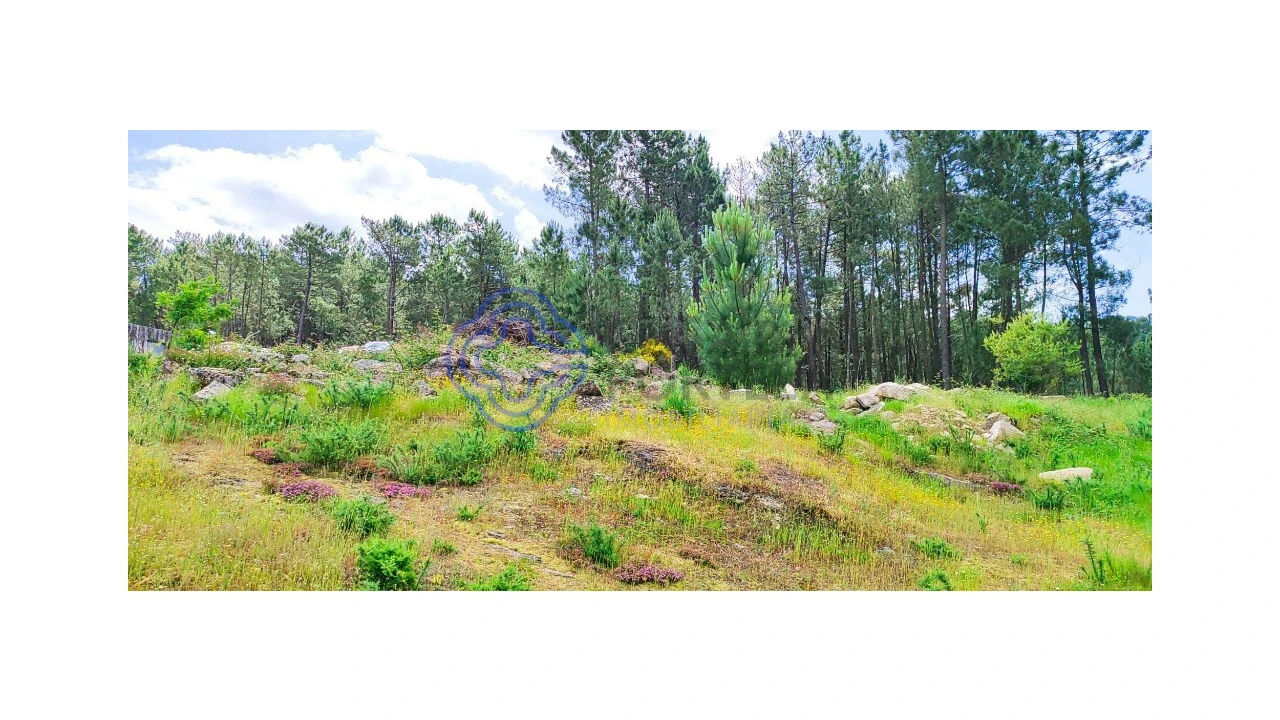 Terreno para Venda em Gondomil e Sanfins Foto 6