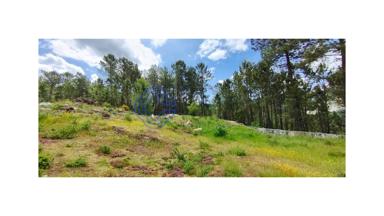 Terreno para Venda em Gondomil e Sanfins Foto 4