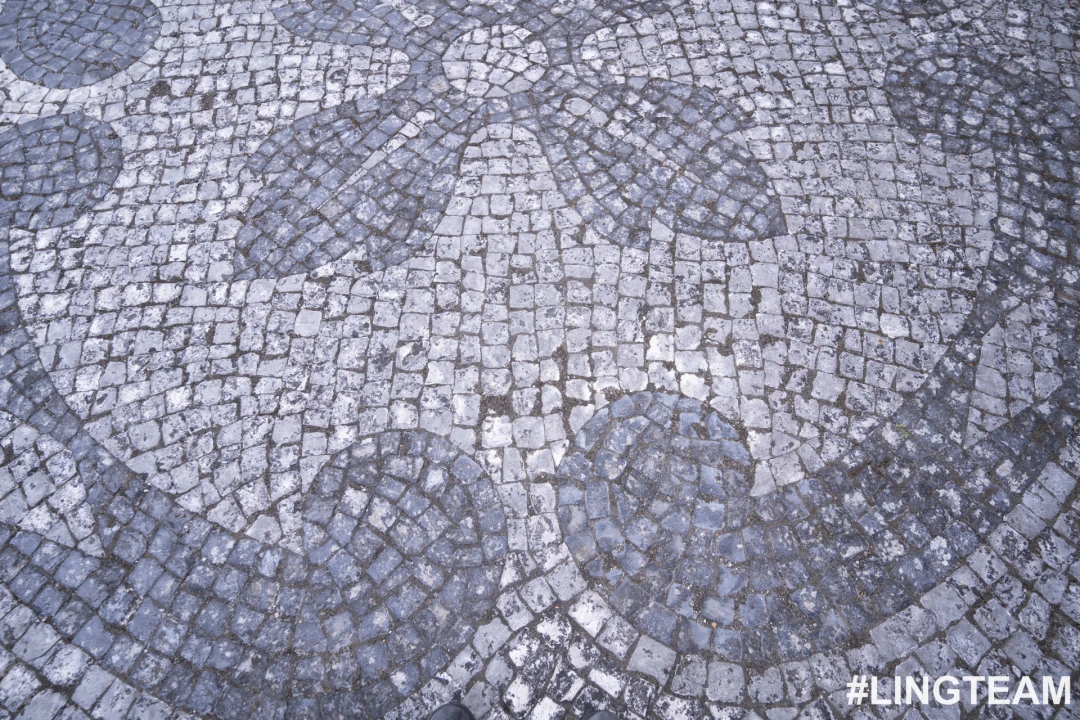 Prédio para Venda em Castelo Branco Foto 23