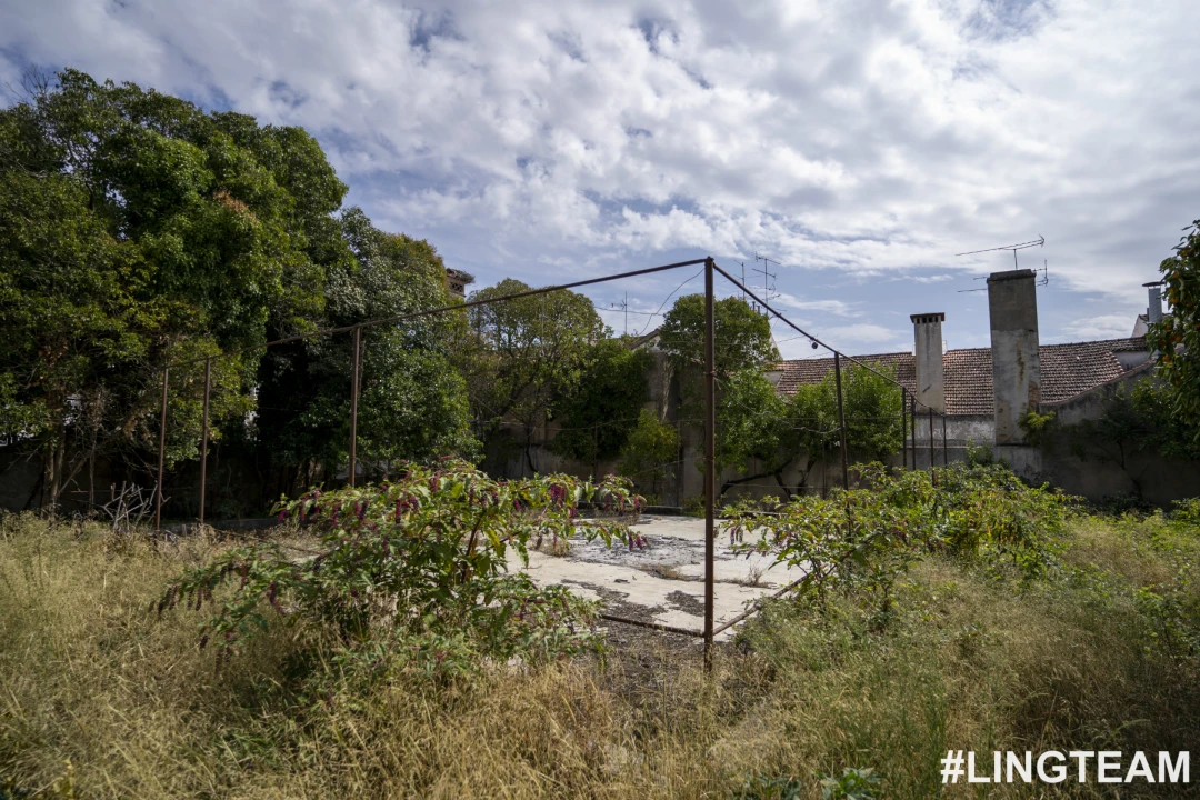 Prédio para Venda em Castelo Branco Foto 56