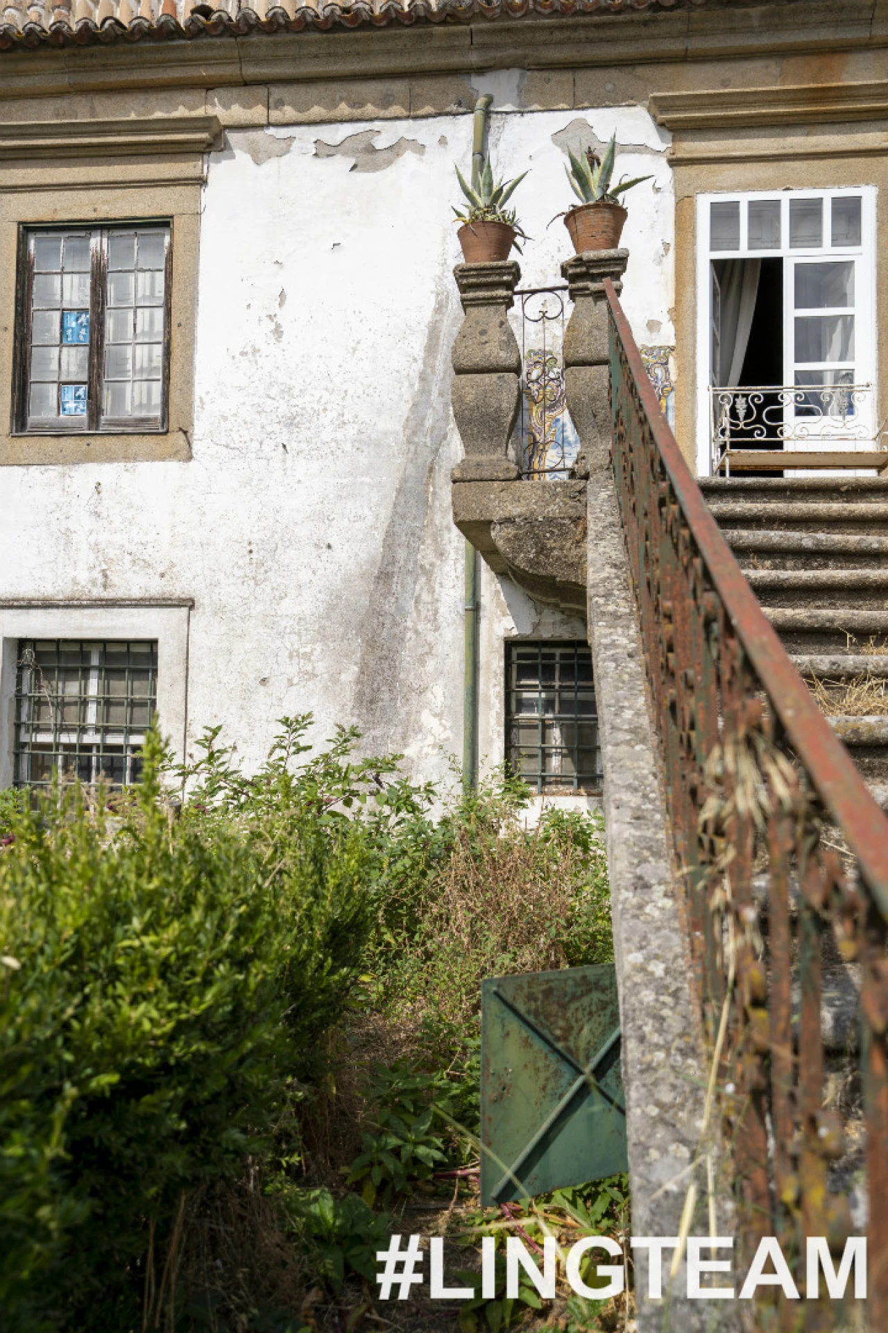 Prédio para Venda em Castelo Branco Foto 64
