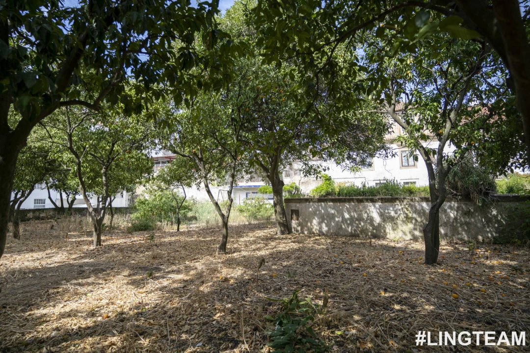Prédio para Venda em Castelo Branco Foto 58