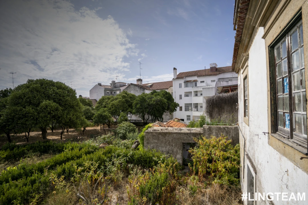 Prédio para Venda em Castelo Branco Foto 54