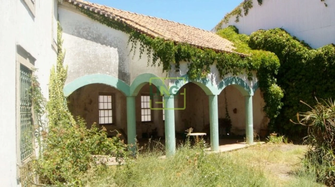Prédio para Venda em Castelo Branco Foto 65