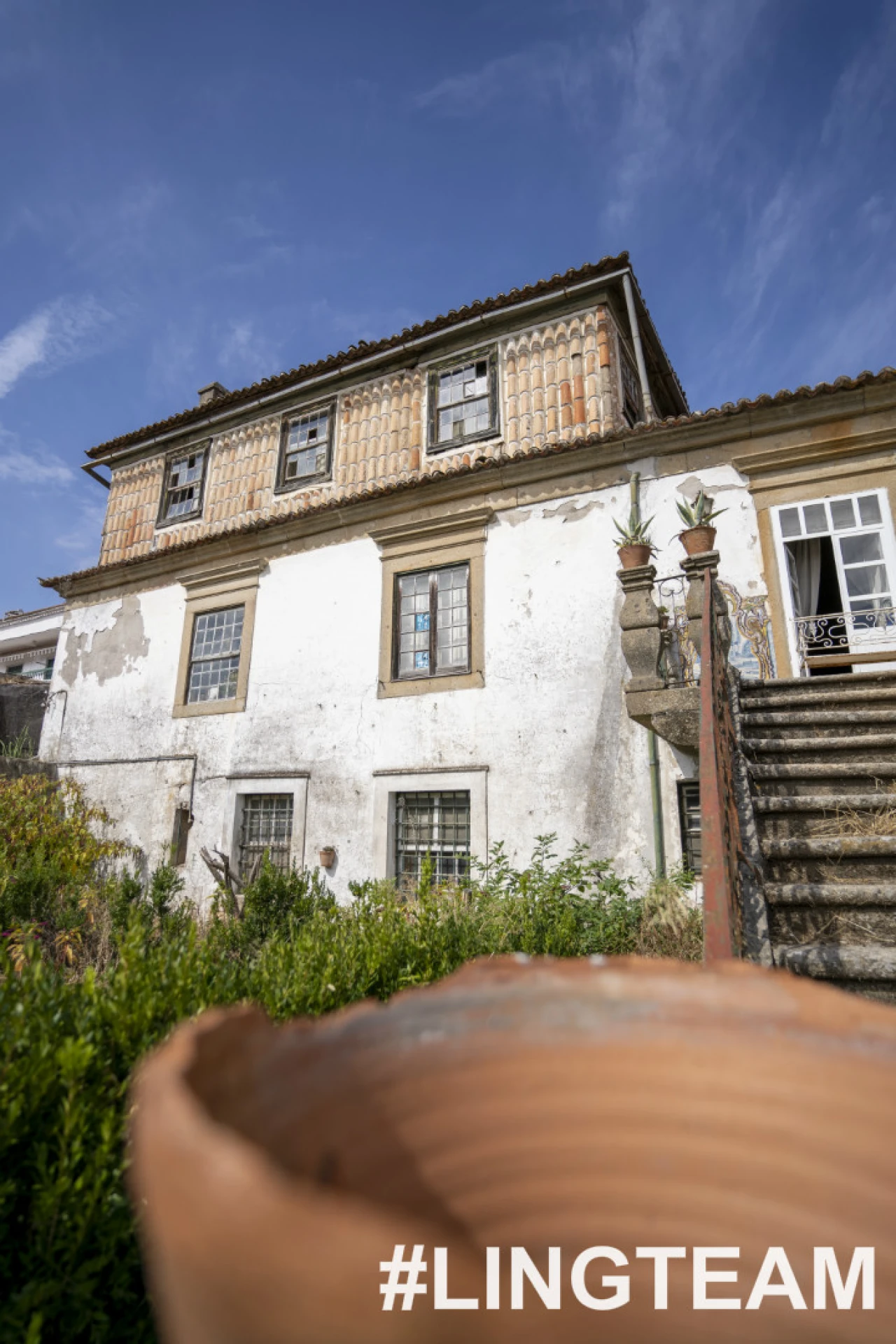 Prédio para Venda em Castelo Branco Foto 66