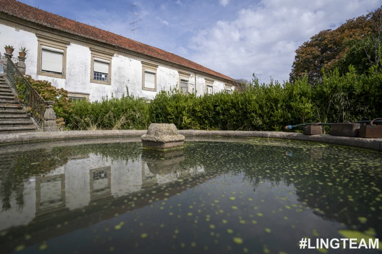 Prédio para Venda em Castelo Branco Foto 62