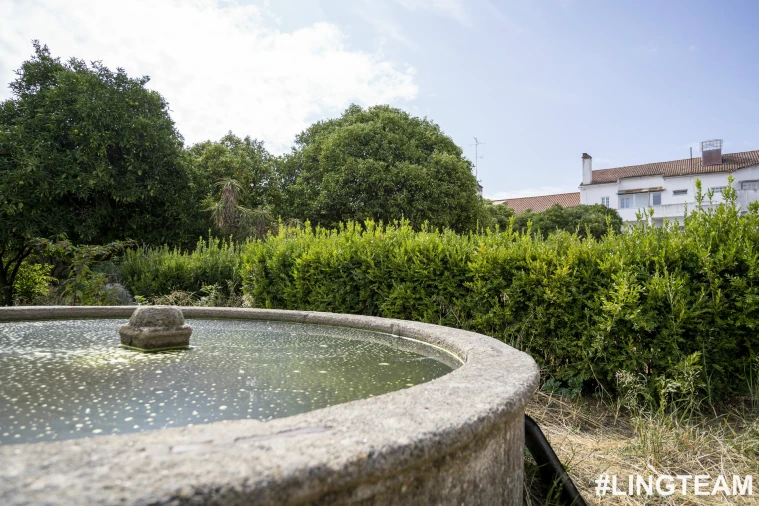 Prédio para Venda em Castelo Branco Foto 63