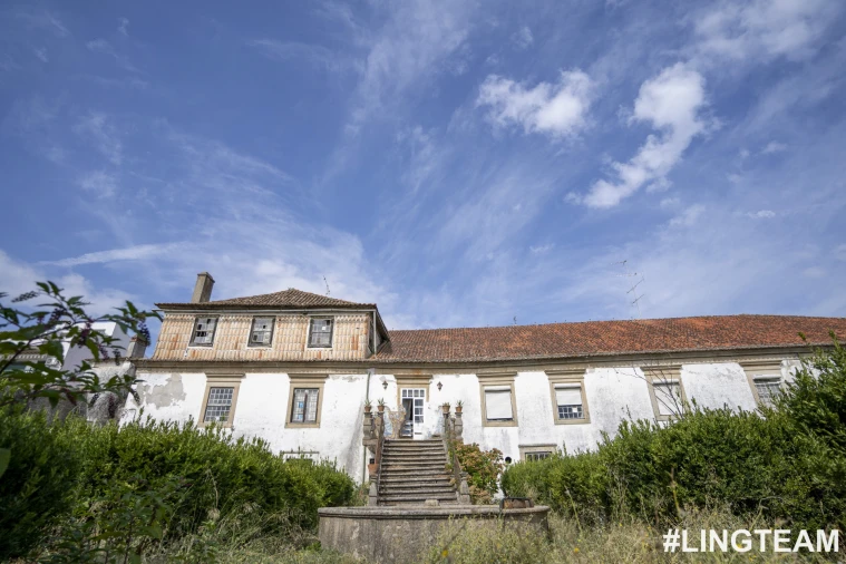 Prédio para Venda em Castelo Branco Foto 61