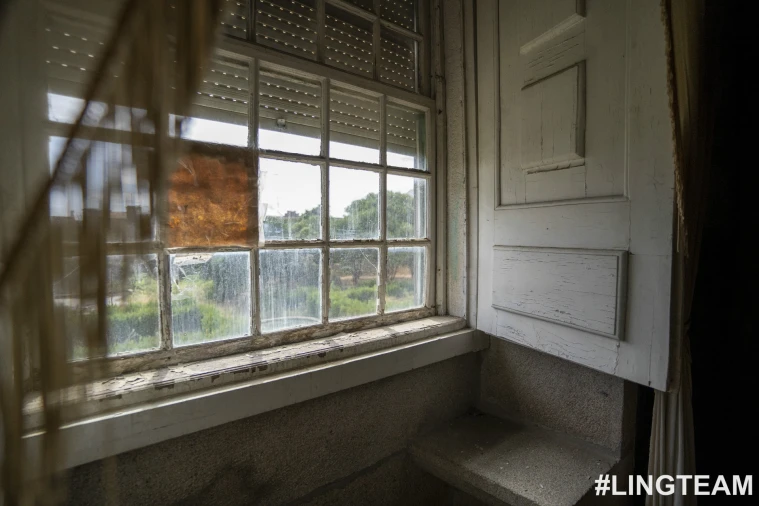 Prédio para Venda em Castelo Branco Foto 52