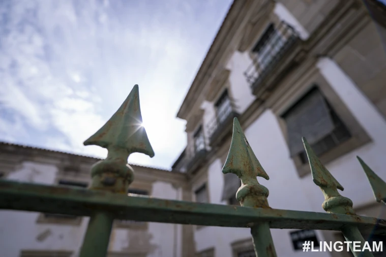 Prédio para Venda em Castelo Branco Foto 16