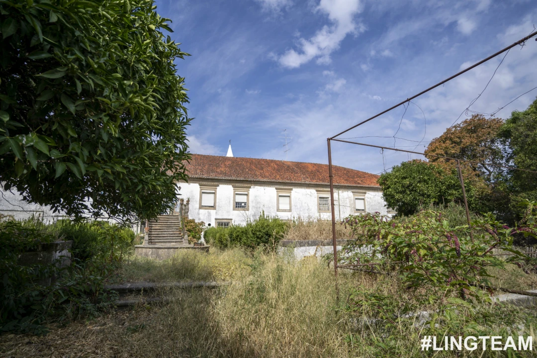 Prédio para Venda em Castelo Branco Foto 60