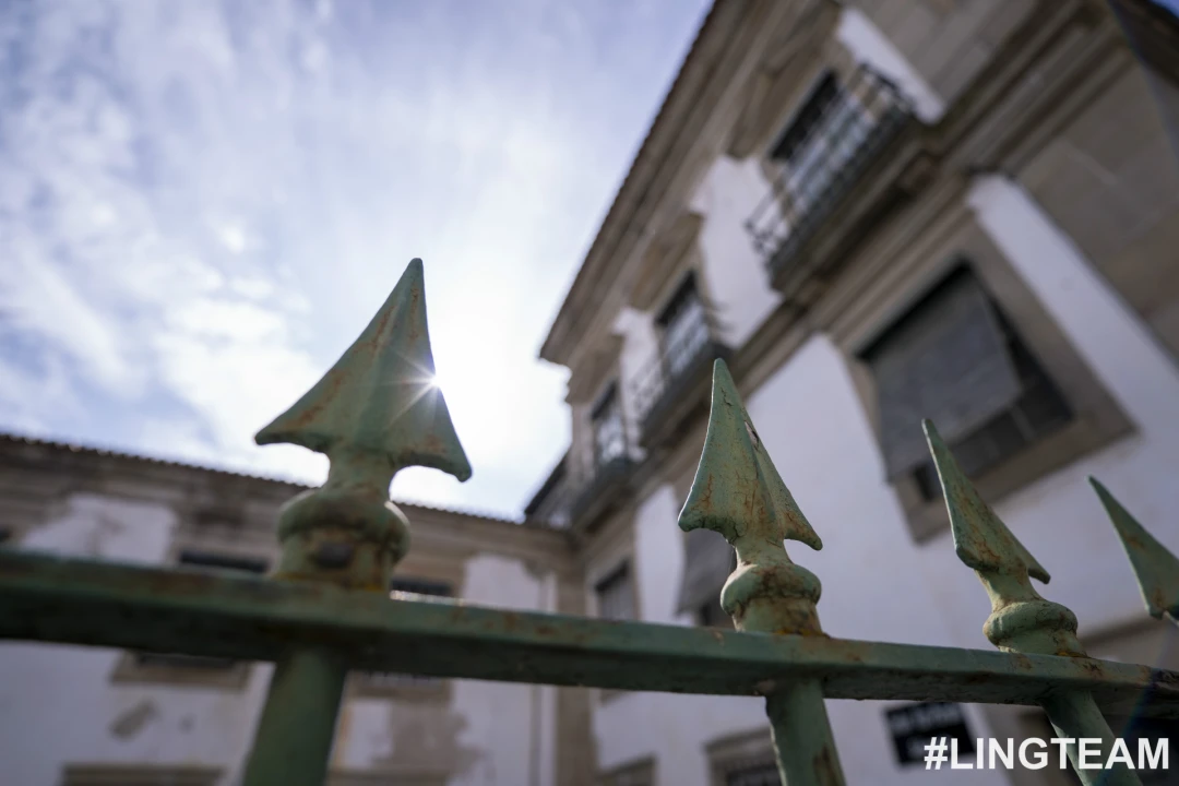 Prédio para Venda em Castelo Branco Foto 16