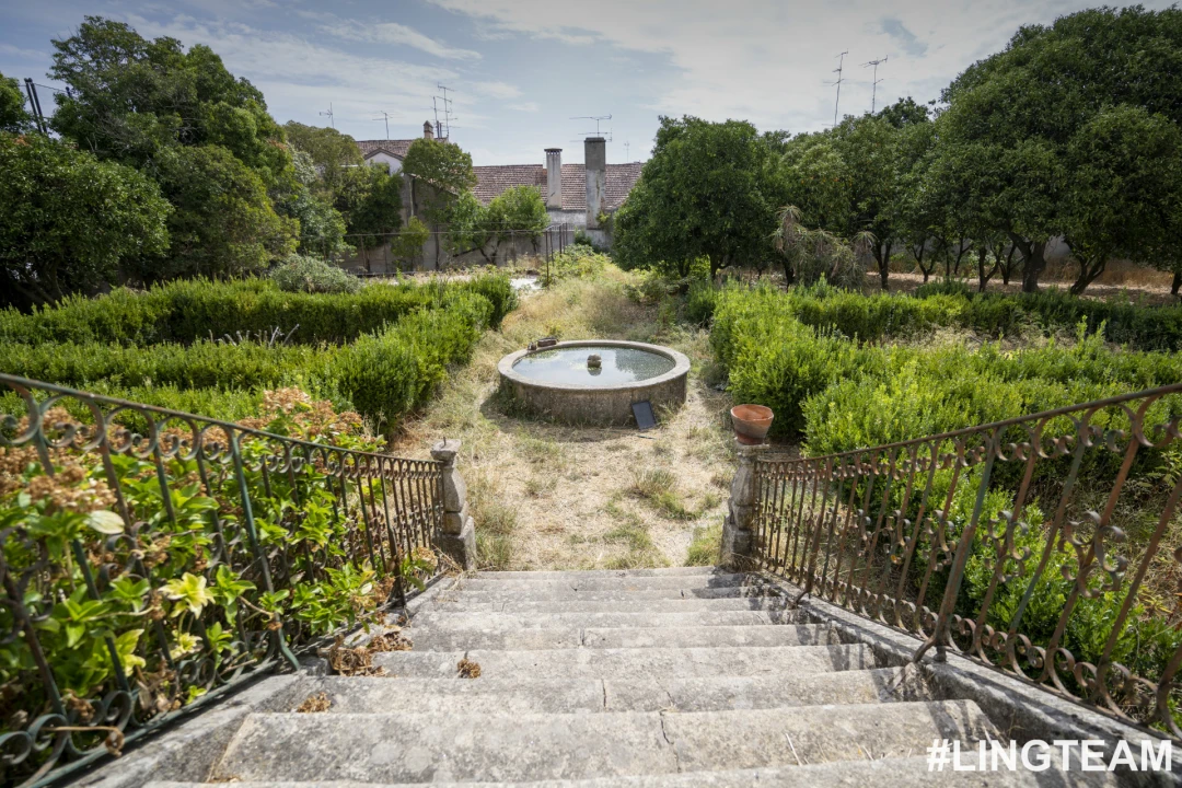 Prédio para Venda em Castelo Branco Foto 55