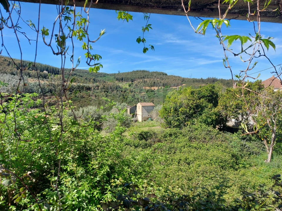 Moradia T3 para Venda em Vila Cova de Alva e Anseriz Foto 5