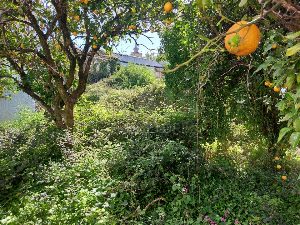 Moradia T3 para Venda em Vila Cova de Alva e Anseriz Foto 6