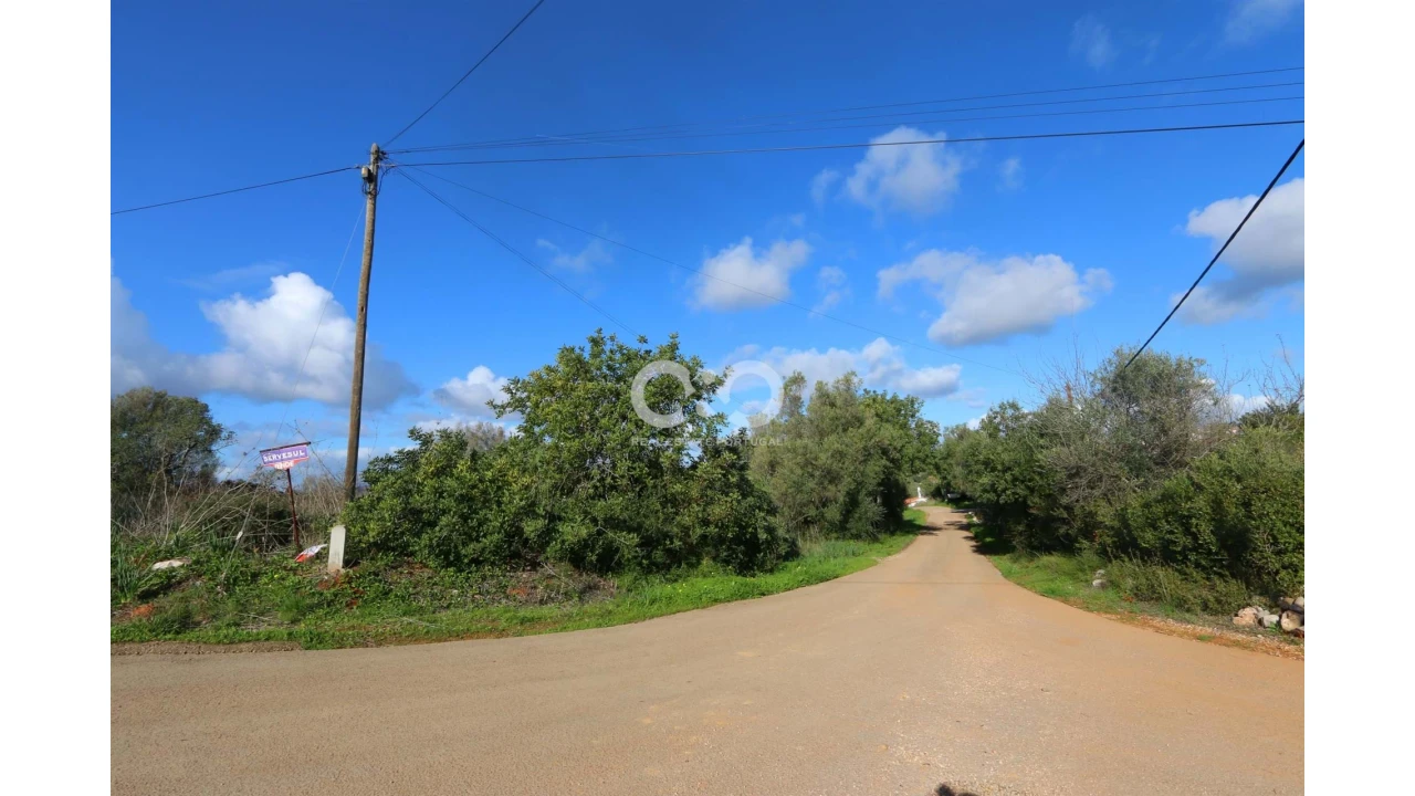 Negócio para Venda em São Bartolomeu de Messines Foto 14