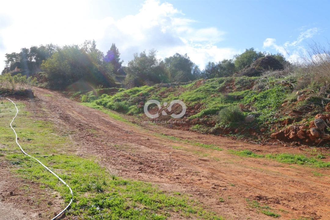 Terreno para Venda em São Bartolomeu de Messines Foto 7