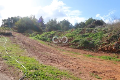 Terreno para Venda em São Bartolomeu de Messines