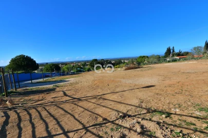Terreno para Venda em Luz