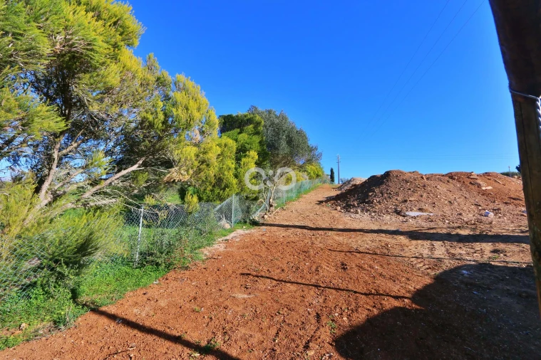 Terreno para Venda em Luz Foto 9