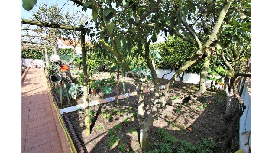 Negócio para Venda em Rogil Foto 24